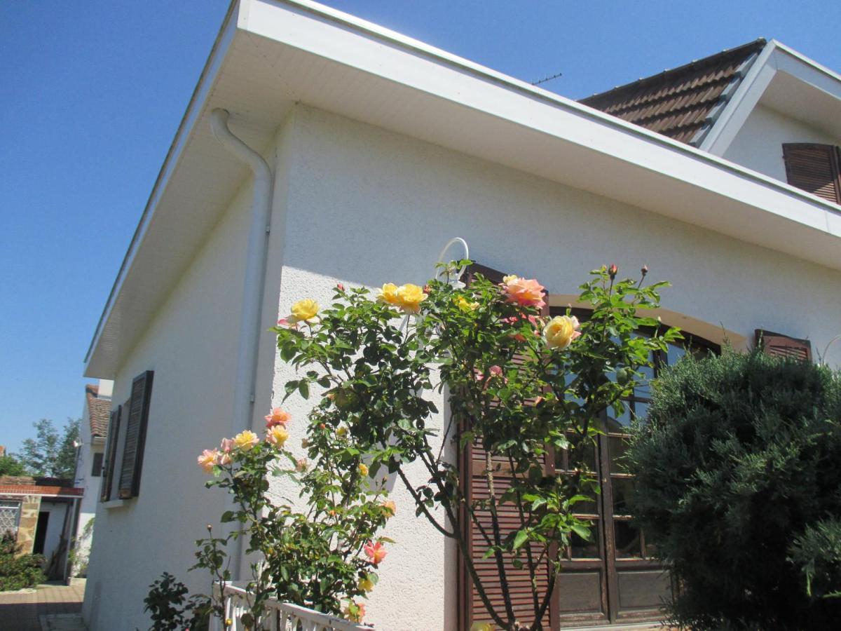 Les Roses De Rita Apartment Boisset-les-Montrond Luaran gambar